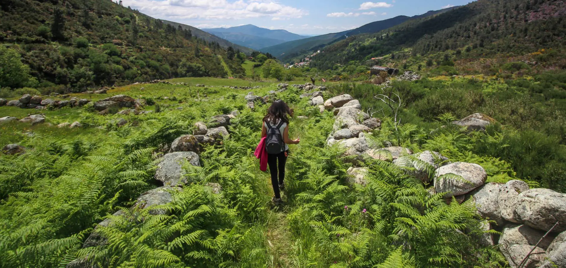 Caminhante num trilho verde de fetos, num vale da Serra da Estrela